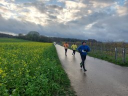Panoramalauf und Nordic Walking